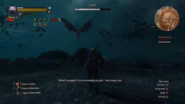 Witcher 3 GOTY Detlaff boss FIGHT [DM] [BaW]