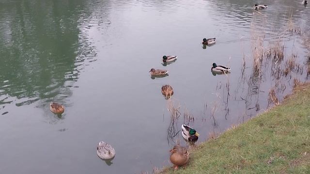 1000018043.mp4