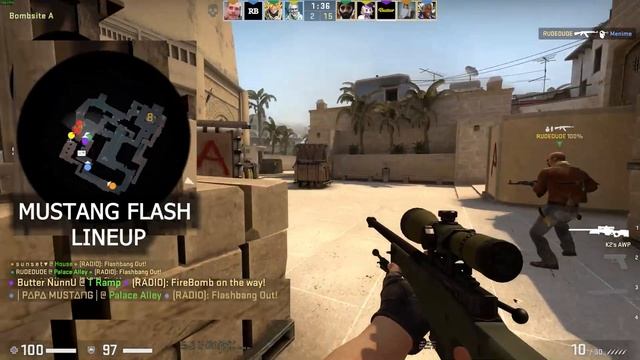CSGO: Mustang/PAPA Flash!!