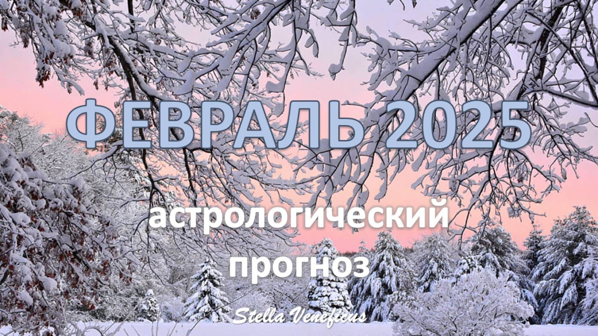 ФЕВРАЛЬ 2025 г. - ОБЩИЙ АСТРОЛОГИЧЕСКИЙ ПРОГНОЗ. МНОГОЕ МЕНЯЕТСЯ.