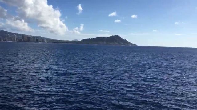 Atlantis whale watching cruise in Hawaii!