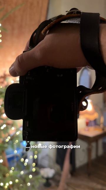 🗓️ ДАТЫ январь-февраль’25 в описании 👇🏻 / фотограф Андрей Беляев