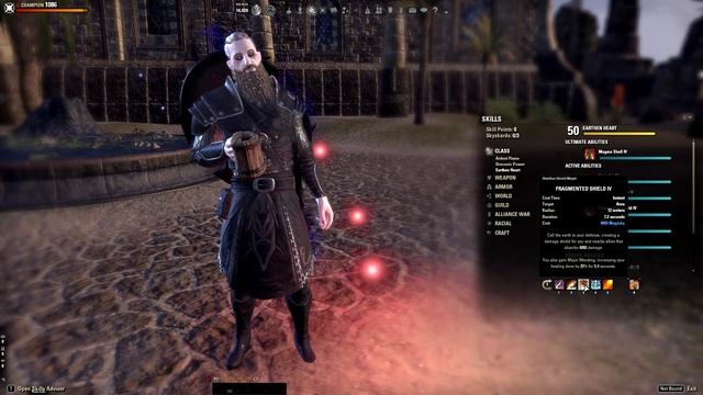 End Game DK Main Tank Build for Wolfhunter