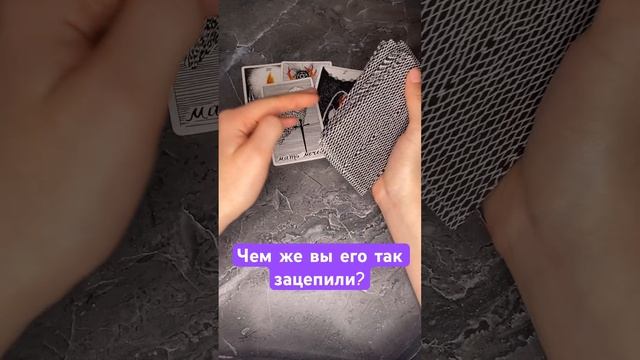 16 ноября 2023 г.