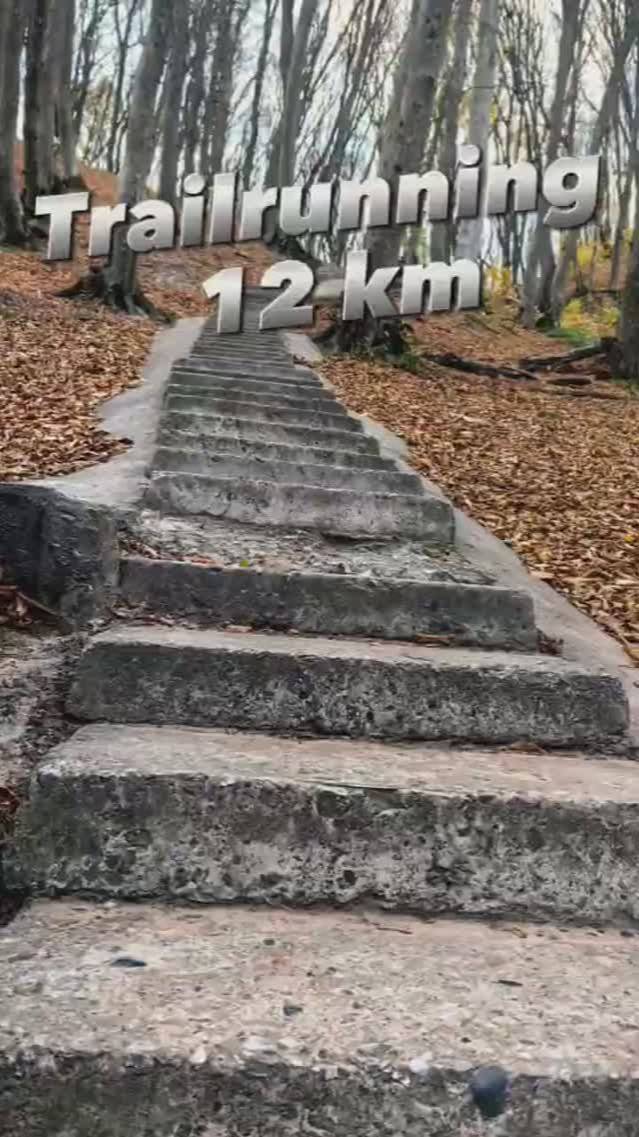 #trailrunning #huawei 12 km