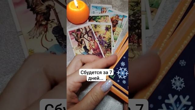 7 дней: таро прогноз ✨🔮