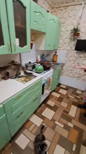 6779