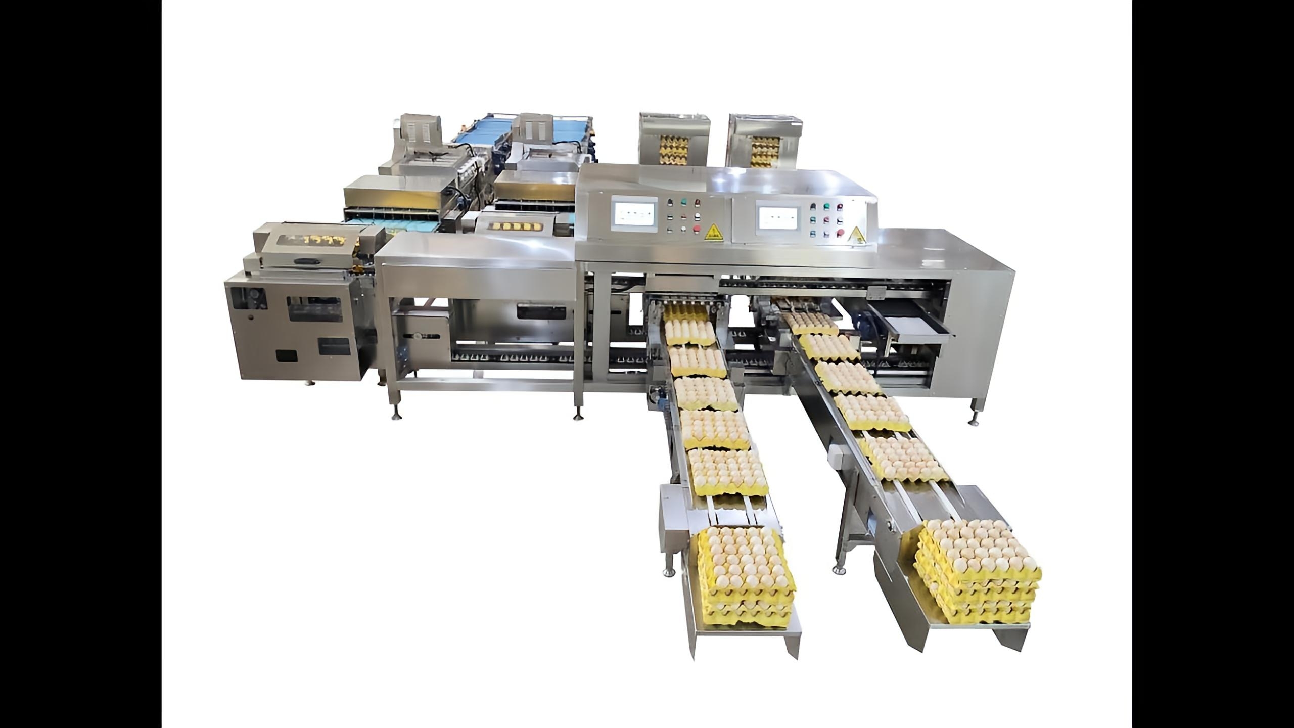 ZENYER 714 farm packer capacity 55000 eggs/hour