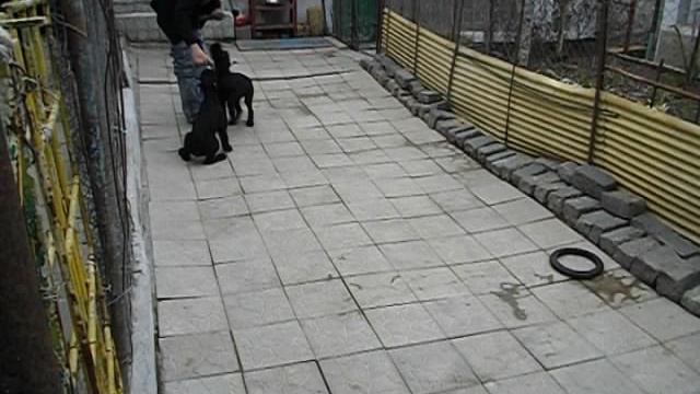 дети  Роман-Кош  Баттерфляй РК Октава и Ореанда. 8 марта. 3 мес. 2013г