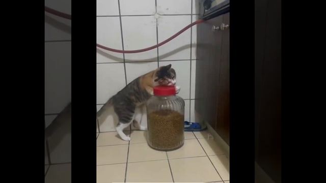 Смекалка
