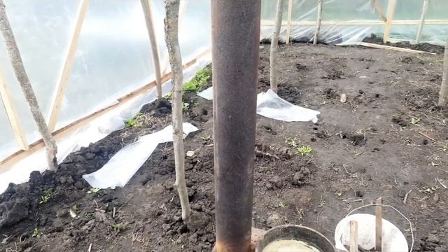 Теплица огуречник с печным отоплением.