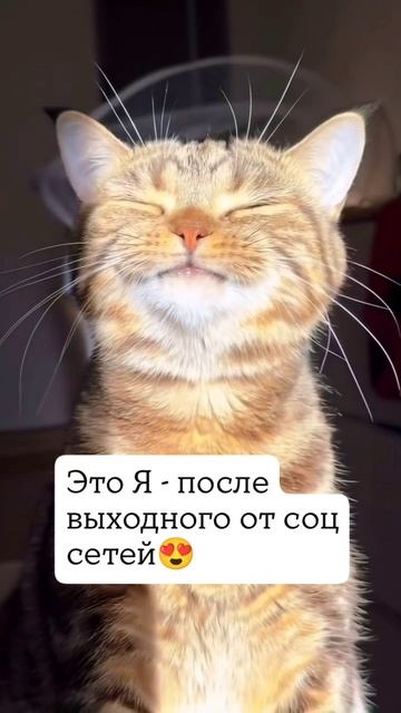 #выходные #отдыхоттелефона