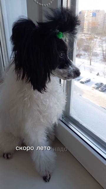 шум в голове