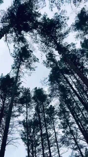 Какая красота!