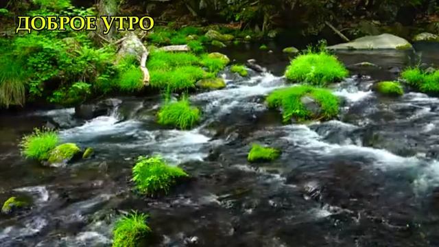 С добрым утром! DY-24