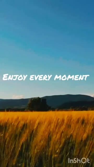 Enjoy every moment