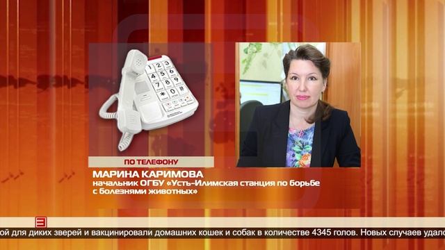 Итоги года ветстанции 24.01.2025