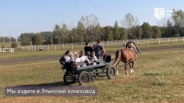 Видео о школе Dragon Family