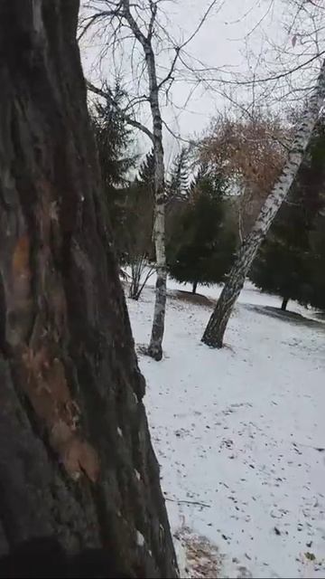Я люблю Тебя Жизнь