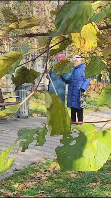 Коммунарка в ноябре 🍁