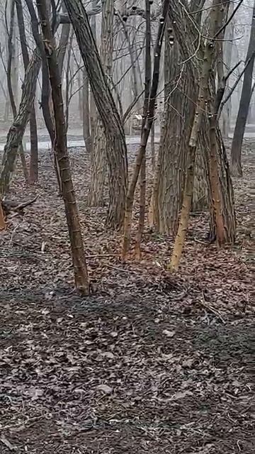 1000435479.mp4