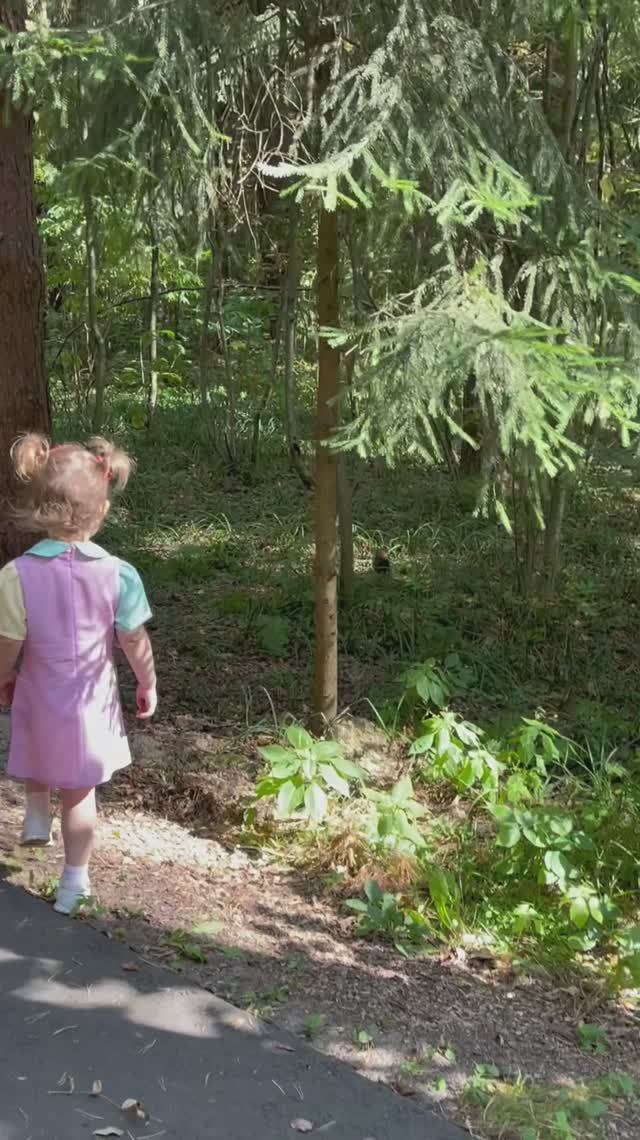 Белка 🐿️ в лесу  🌳🐿️ 🌳🐿️🌳 #2года5мес #шортс #shorts #белка #лес