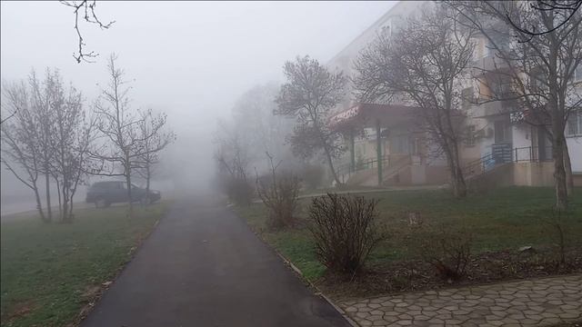 Керчь. Туман 27.01.25