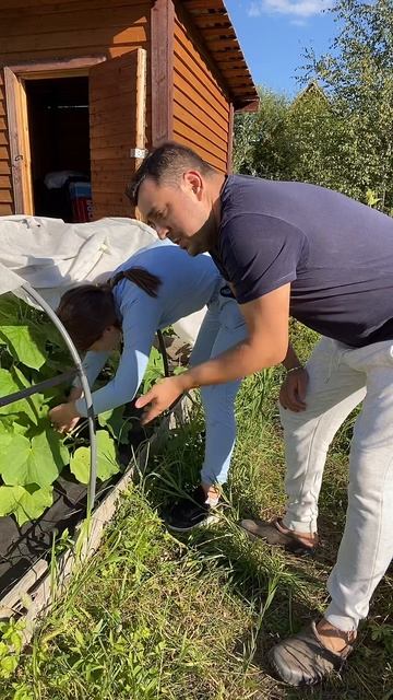 Работа не волк...😂