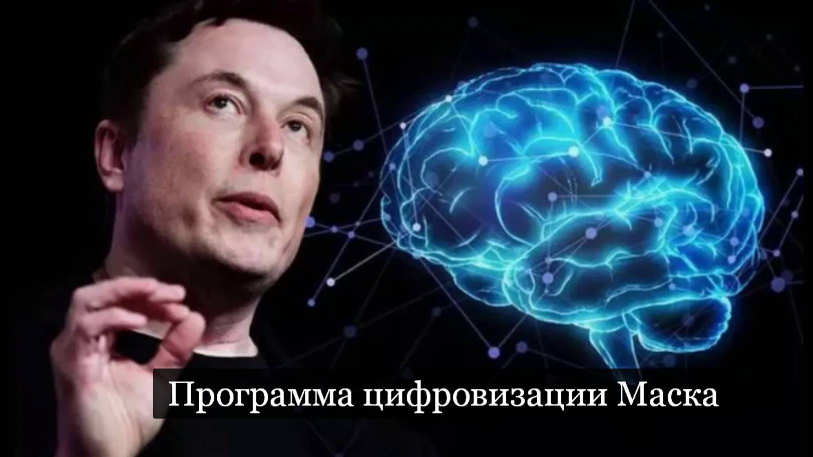ТАРО #Аврора #гадание  Программа цифровизации Илона Маска