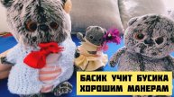 Басик учит Бусика хорошим манерам