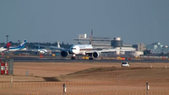 Cherry blossoms & Singapore Airlines Boeing 777-300ER Landing at Narita