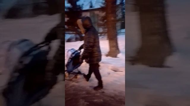 Вечерняя прогулка