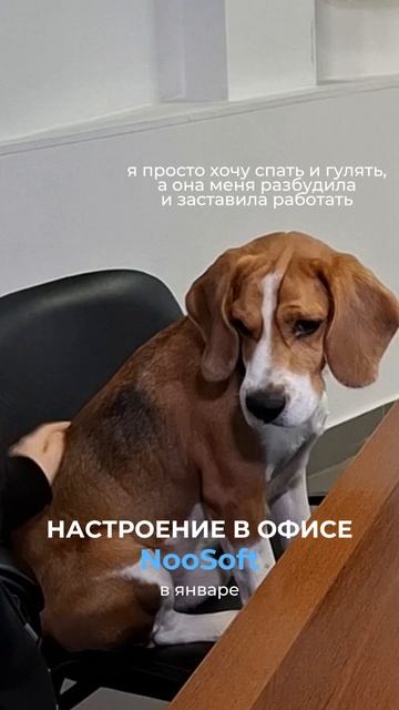Подключаем к работе все ресурсы!