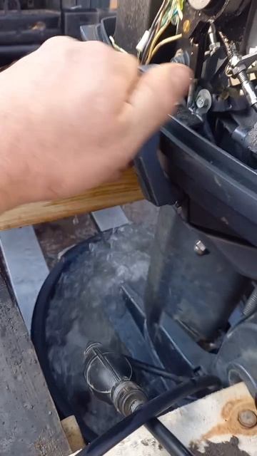 1000152767.mp4