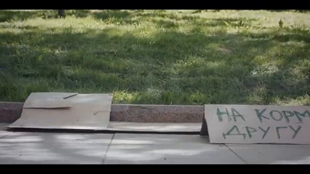 НЕТ попрошайничеству с животными! Они живые!