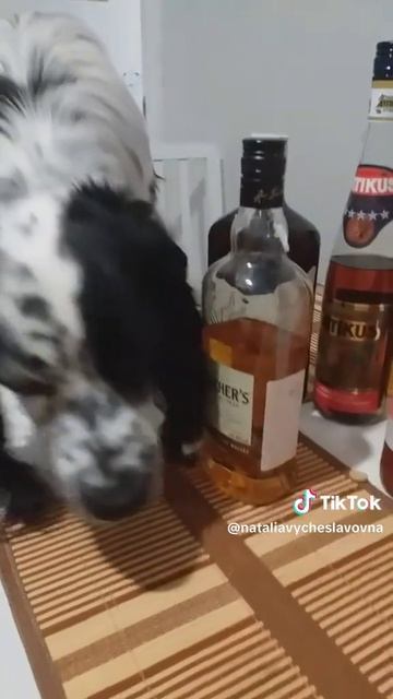 Я пить не буду!...)))