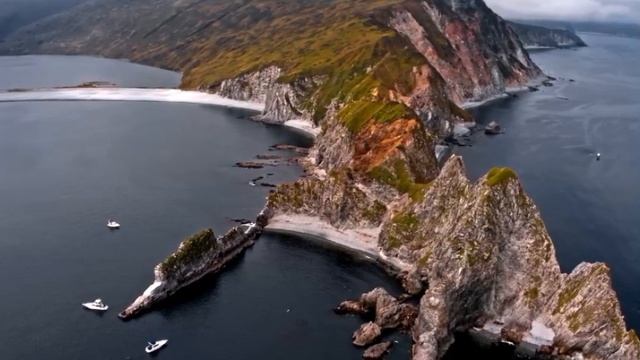 Камчатка - морские  котики 🌊🌊🌊