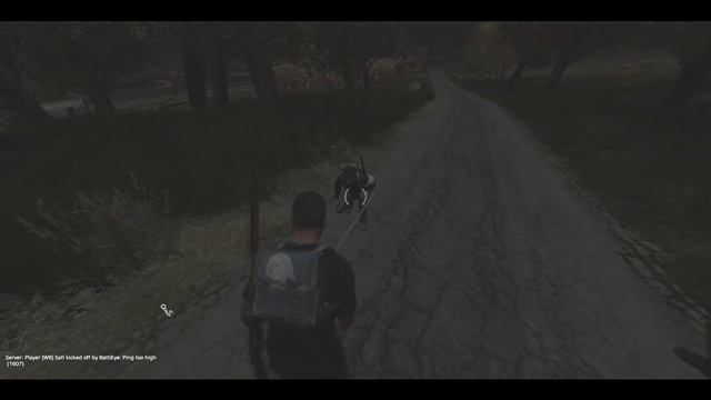 Let There Be Knights! | DayZ