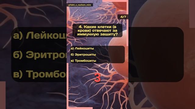 Самый умный №40