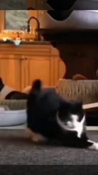 Срочно вызывайте экзорциста