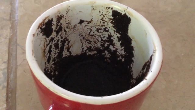 Leo Decrease to abundance & a returning! August 9, 2021 Weekly Coffee Cup Reading