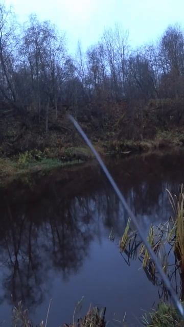 Рыбалка  Опасная оснастка #fishingvideo #рыбалка #спиннинг #fishing
