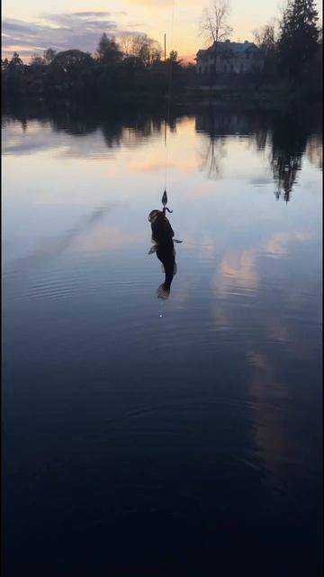 Fisherman. I caught a terrible urban legend