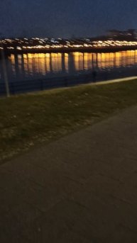 Москва. 28 января 2025г. Где снег?