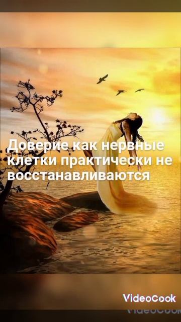 цитаты о жизни