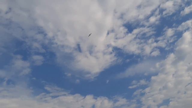 AeroLaV Ку 6 видео полетов пилотажной, высокоскоростной модели.