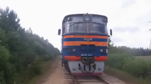 Дизель Поезд ДР1П-401