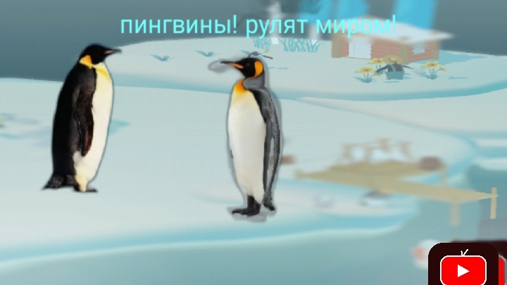 посмотрите пингвины развиваются! играем в новую игру пингвиный 🏝️🐧🐧🐧