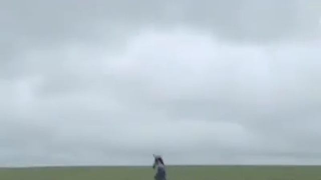 Шедевр кинематографа )