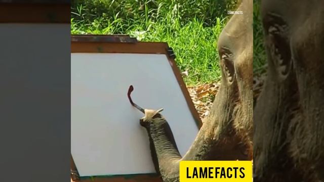 Can this ELEPHANT paint?